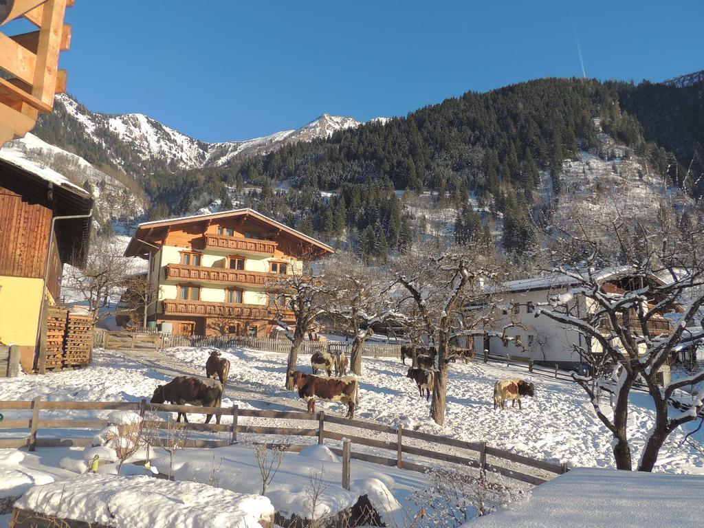 Hoislbauerngut Apartment Bad Hofgastein Ngoại thất bức ảnh
